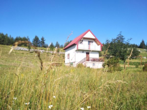 Holiday Home Usovic Žabljak